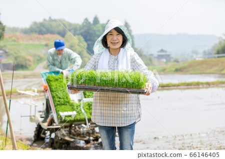 支持日本農業的農民 66146405