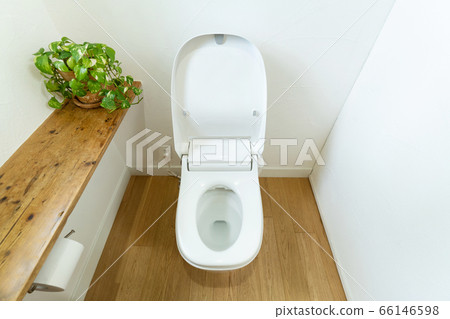 明亮時尚的馬桶 66146598