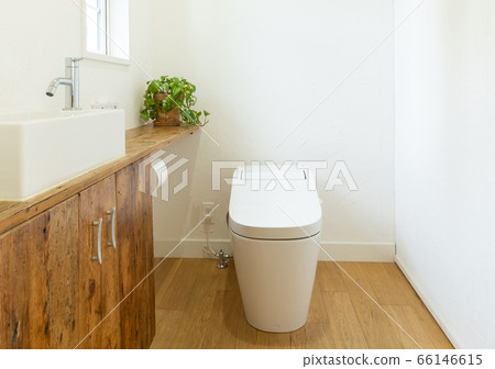 Bright toilet with windows 66146615