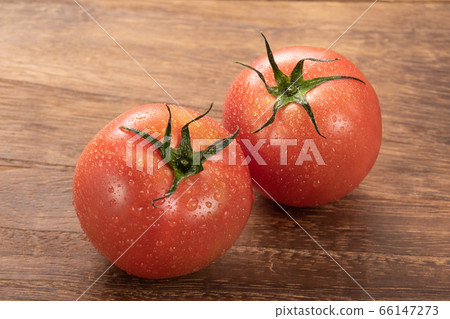蕃茄 蕃茄 66147273