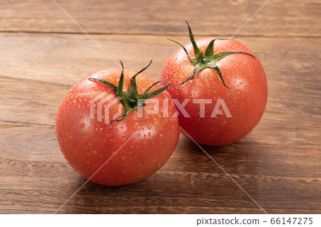 蕃茄 蕃茄 66147275