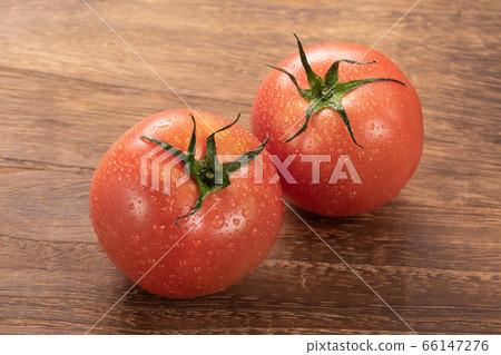 蕃茄 蕃茄 66147276