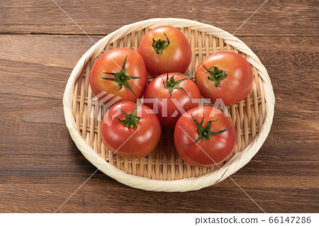 Tomato Tomato 66147286