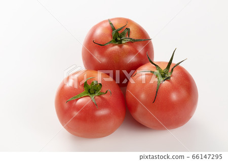 Tomato   66147295