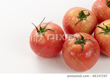 Tomato Tomato 66147297