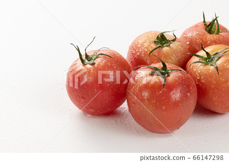 Tomato Tomato 66147298