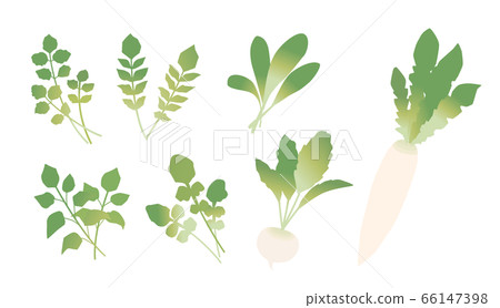 七種春天的草藥 七種春天的草藥 66147398