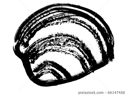 洪比諾斯殼水彩 66147488