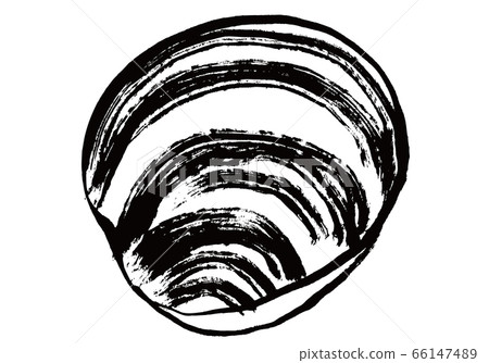 洪比諾斯殼水彩 66147489