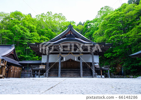 Togakushi Shrine / Chusha 66148286