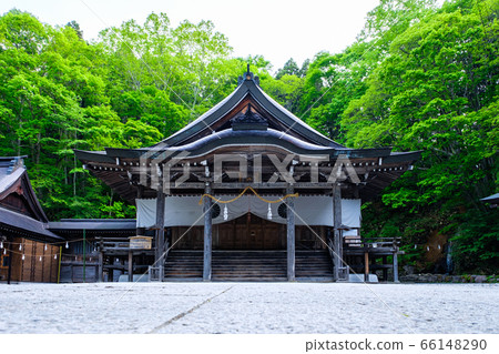Togakushi Shrine / Chusha 66148290