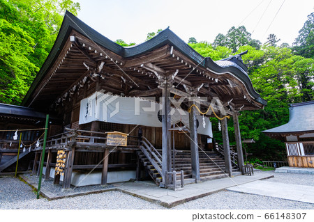 Togakushi Shrine / Chusha 66148307