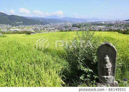信州小七田之道 信州小七田之道 66149501