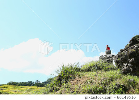 新石信州青葉棗棗地藏 新石信州青葉棗棗地藏 66149510