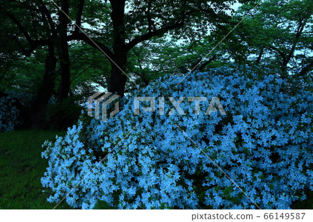 新鮮的綠色北上展覽秩父 66149587