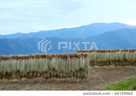 Hazekake rice Hazekake rice 66149868