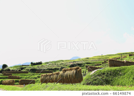 Shinshu's barren rice terraces Shinshu's barren rice terraces 66149874