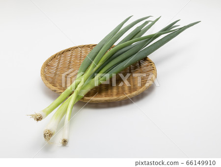 Kujo onion Kujo onion 66149910