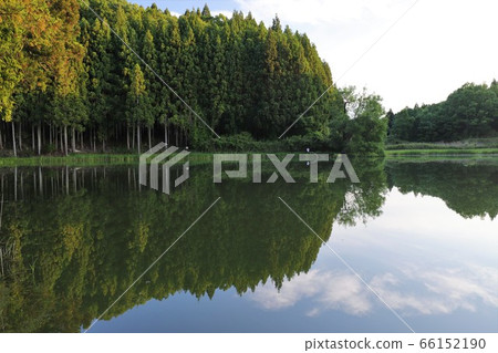 Dragon King 66152190