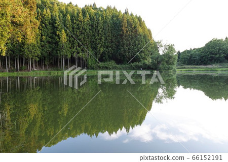 龍王 龍王 66152191