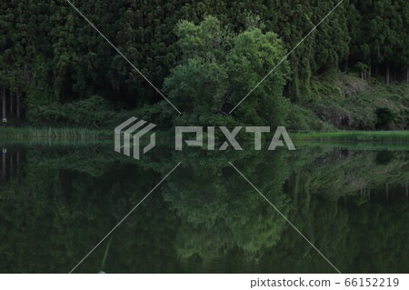 龍王 龍王 66152219