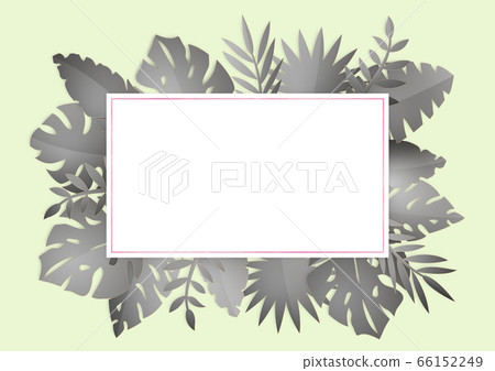 Tropical leaf square frame (tropical plants) Tropical leaf square frame (tropical plants) 66152249