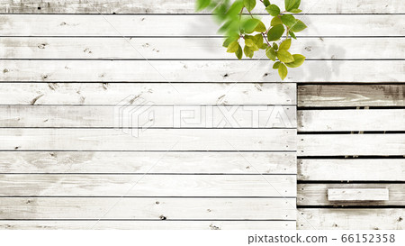 白色五穀背景 白色五穀背景 66152358