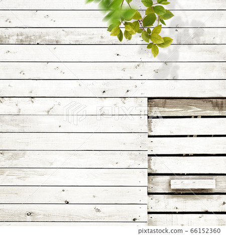 White grain background 66152360