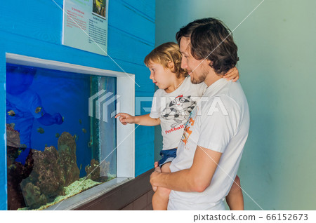 Father and son watching fish in an aquarium Father and son watching fish in an aquarium 66152673