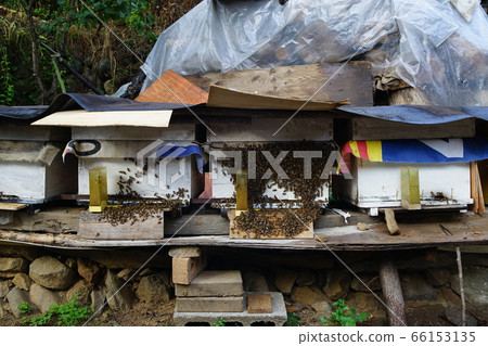 南平門市大邱廣域市 66153135