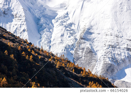 Colorful in autumn forest and snow mountain at Colorful in autumn forest and snow mountain at 66154026