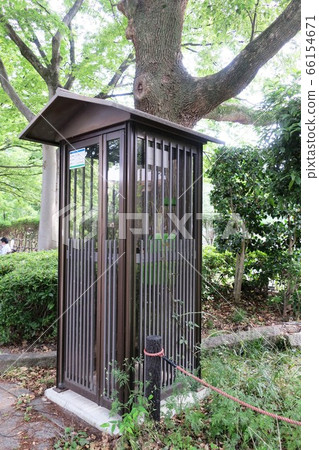 Public telephone booth nestling in the park Public telephone booth nestling in the park 66154671
