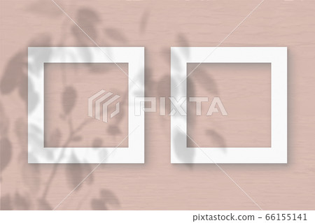 Two square sheet of white textured paper on the peach wall background. Mockup with an overlay of plant shadows. Natural light casts shadows from the leaves of an exotic plant. Flat lay, top view 66155141