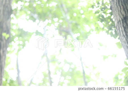 New green image New green image 66155175