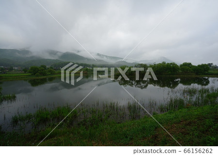 楊平郡南陽州市水花園 66156262