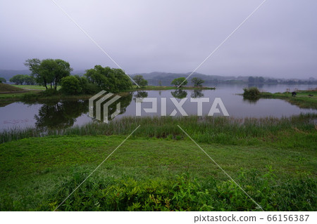 Gyeonggi-do, Yangpyeong-gun, Water Garden 66156387