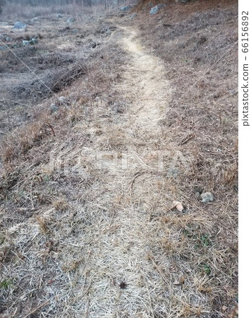 If you walk along a lovely country road, If you walk along a lovely country road, 66156892
