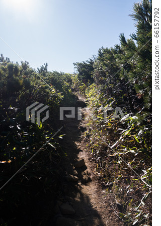 山路 山路 66157792