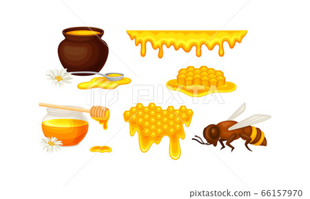 Honey omb with Hexagonal Wax Cells and Glass Jar Poured with Honey Vector Set Honey omb with Hexagonal Wax Cells and Glass Jar Poured with Honey Vector Set 66157970
