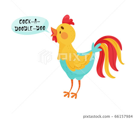 Feathered Cockerel with Open Mouth Making Doodle-doo Sound Isolated on White Background Vector Illustration 66157984