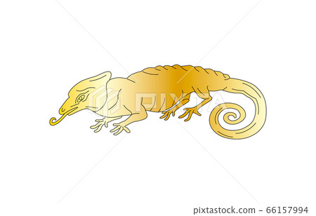 88星座金無變色龍 88星座金無變色龍 66157994