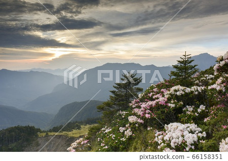 陽光微弱，天空金黃。這座山很美，品質很高。 66158351