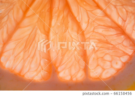 Fruit Grapefruiton white background Fruit Grapefruiton white background 66158456