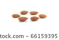 Group Almonds isolated on white. 66159395