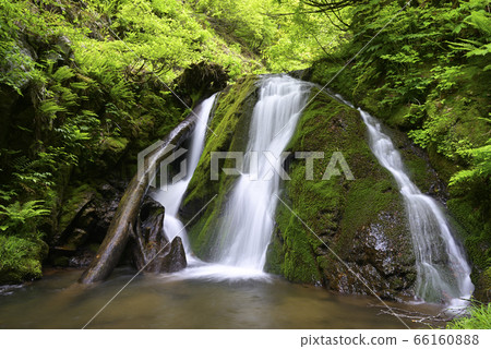 Moss Falls (Shin Onsen Town, Bikata District, Hyogo Prefecture) Moss Falls (Shin Onsen Town, Bikata District, Hyogo Prefecture) 66160888