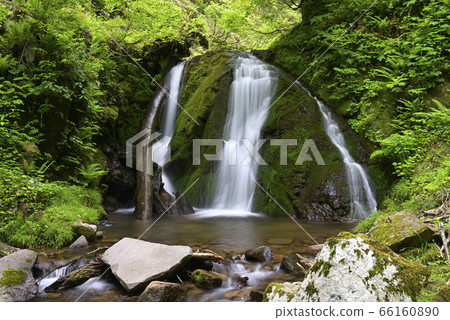Moss Falls (Shin Onsen Town, Bikata District, Hyogo Prefecture) Moss Falls (Shin Onsen Town, Bikata District, Hyogo Prefecture) 66160890