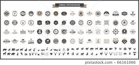 Animal Vintage Vector for banner. Animal Vintage Vector for banner. 66161066