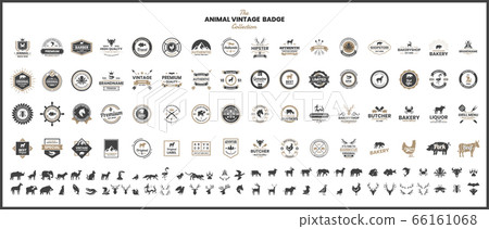 Animal Vintage Vector for banner. Animal Vintage Vector for banner. 66161068