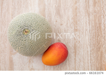 麝香瓜和芒果果實在樹上熱帶水果 麝香瓜和芒果果實在樹上熱帶水果 66161074