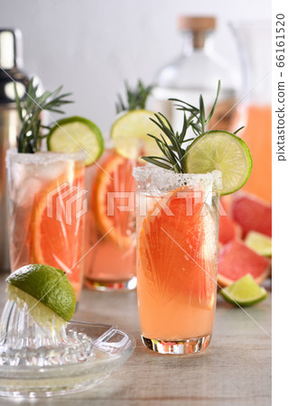 cocktail pink Paloma cocktail pink Paloma 66161520